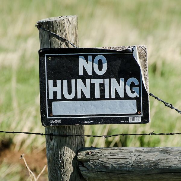 no-hunting-sign-1110491sm no-hunting-sign-1110491sm