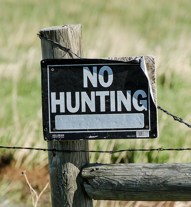 no-hunting-sign-1110491sm